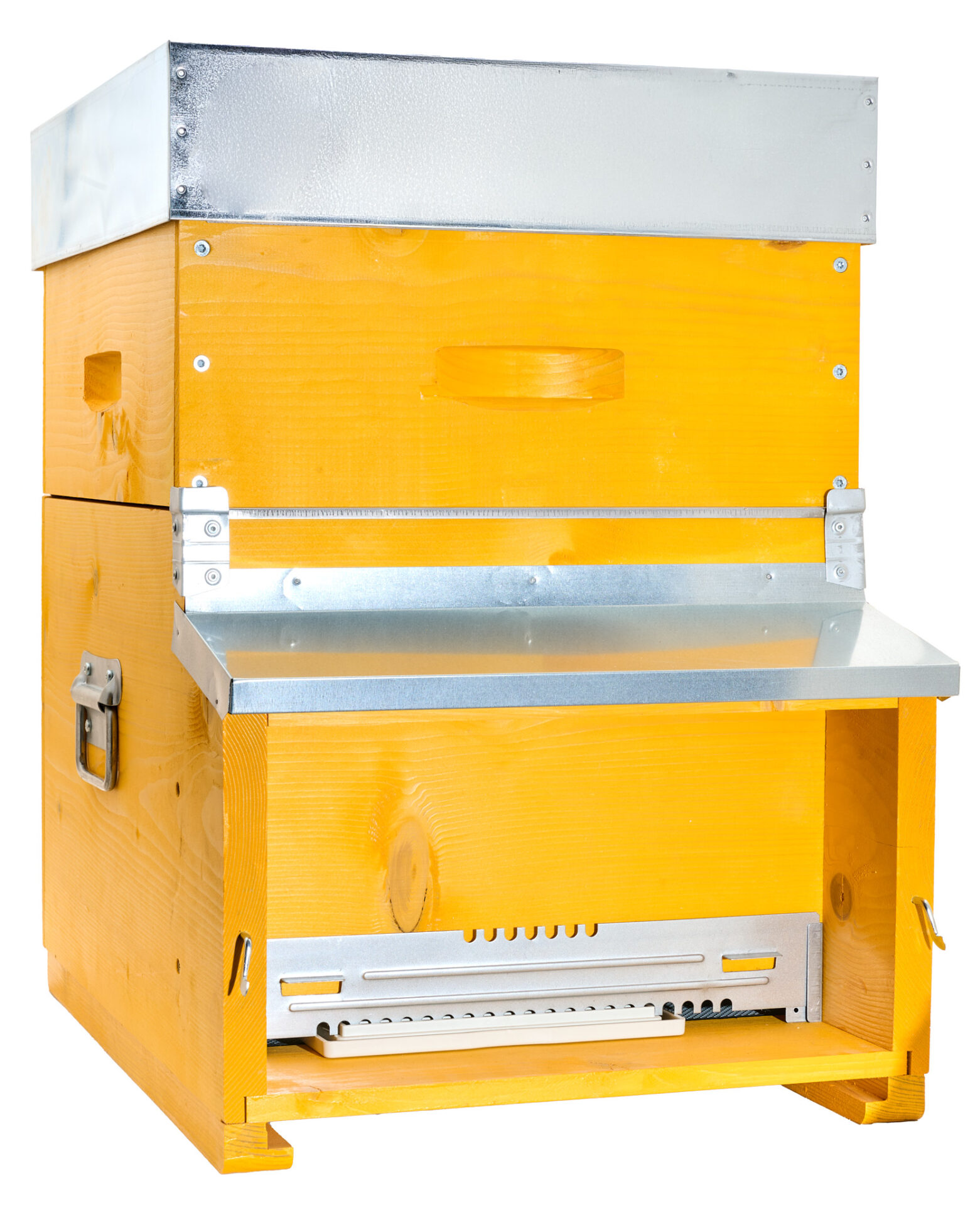 Arnia Dadant plus