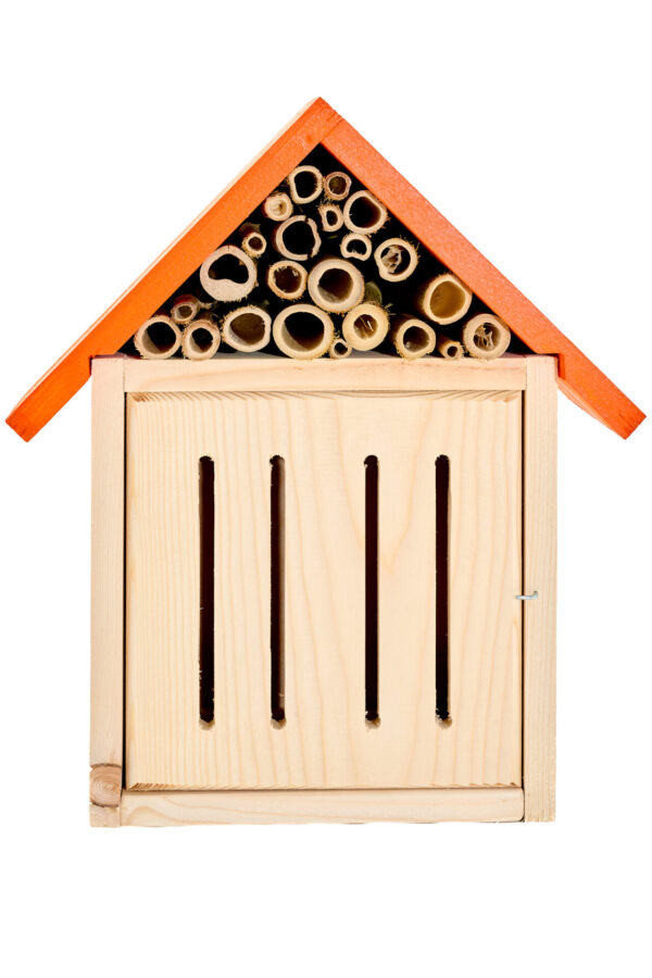 Hotel per insetti - immagine 2