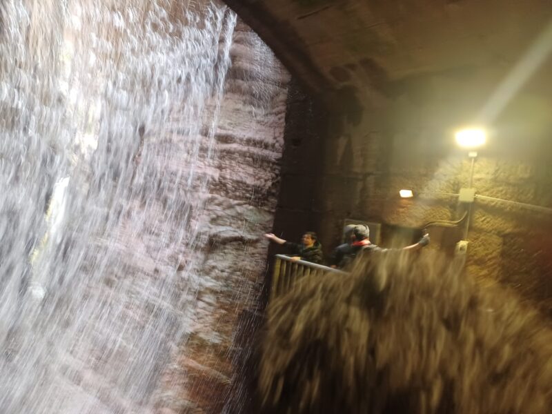 Il Punto va in città